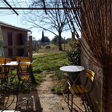 Studio Independant Dans Ferme Equestre Aups Exterior photo